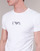 Ruhák Férfi Rövid ujjú pólók Emporio Armani CC715-PACK DE 2 Fehér