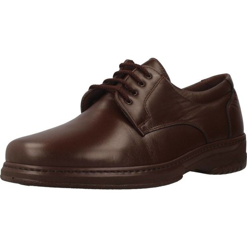 Cipők Férfi Oxford cipők & Bokacipők Pinoso's 5975 H Barna