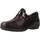 Cipők Női Oxford cipők & Bokacipők Pinoso's 7313 G Barna