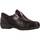 Cipők Női Oxford cipők & Bokacipők Pinoso's 7313 G Barna