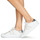 Cipők Női Rövid szárú edzőcipők Geox D PONTOISE Fehér / Ezüst