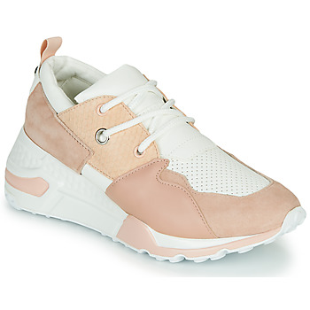 Cipők Női Rövid szárú edzőcipők Steve Madden CLIFF Rózsaszín