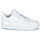 Cipők Gyerek Rövid szárú edzőcipők Nike COURT BOROUGH LOW 2 GS Fehér