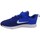 Cipők Gyerek Rövid szárú edzőcipők Nike Downshifter 9 Psv Kék