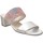 Cipők Női Papucsok Brenda Zaro F3652 Sokszínű