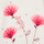 Ruhák Lány Együttes Catimini CR36001-11 Fehér / Rózsaszín