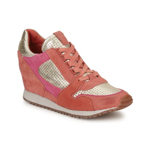 Cipők Női Rövid szárú edzőcipők Ash DEAN BIS Arany / Korall / Rózsaszín