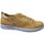 Cipők Női Oxford cipők Andrea Conti 0348736 sneaker Citromsárga