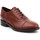 Cipők Női Rövid szárú edzőcipők Geox Buty lifestylowe  D Brogue G D642UG-00043-C0013 Barna