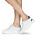Cipők Női Rövid szárú edzőcipők Steve Madden GLACIAL Fehér / Ezüst