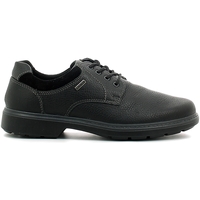 Cipők Férfi Oxford cipők Enval 6891 Fekete 