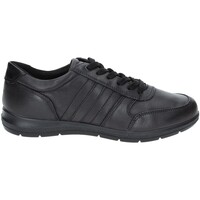 Cipők Férfi Oxford cipők Enval 2234811 Fekete 