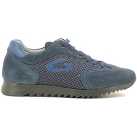 Cipők Gyerek Rövid szárú edzőcipők Alberto Guardiani GK22343G Kék