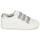 Cipők Női Rövid szárú edzőcipők Geox D PONTOISE C Fehér / Ezüst