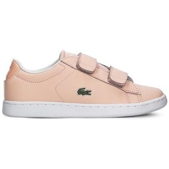Cipők Gyerek Rövid szárú edzőcipők Lacoste Carnaby Evo Strap Rózsaszín