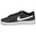 Cipők Női Rövid szárú edzőcipők Nike WMNS NIKE COURT ROYALE 2 NN Fekete  / Fehér