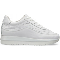 Cipők Női Rövid szárú edzőcipők Docksteps DSW951000 Fehér