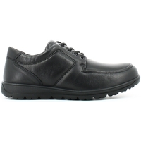 Cipők Férfi Oxford cipők Enval 4903 Fekete 