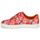 Cipők Női Rövid szárú edzőcipők Cosmo Paris HAJIA Rózsaszín / Virág