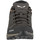 Cipők Női Túracipők Salewa Mtn Trainer Lite GTX 61362-7517 Sokszínű
