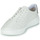 Cipők Férfi Rövid szárú edzőcipők Timberland Seneca Bay Oxford Fehér