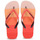 Cipők Női Lábujjközös papucsok Havaianas TOP LOGOMANIA MULTICOLOR Rózsaszín / Beie
