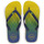 Cipők Lábujjközös papucsok Havaianas BRASIL FRESH Zöld / Kék / Citromsárga