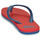 Cipők Fiú Lábujjközös papucsok Quiksilver MOLOKAI YOUTH Piros / Kék
