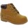 Cipők Csizmák Lumberjack 25784-18 Sokszínű