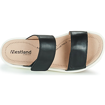 Westland ALBI 03 Fekete 