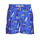 Ruhák Férfi Fürdőruhák Polo Ralph Lauren W221SC13 Kék / Sokszínű