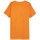 Ruhák Férfi Rövid ujjú pólók Outhorn TSM603 Narancssárga
