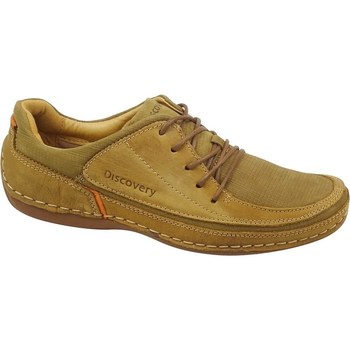 Cipők Férfi Rövid szárú edzőcipők Discovery DSL1186211 Zöld