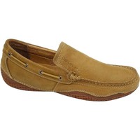 Cipők Férfi Oxford cipők & Bokacipők Discovery DSL1153511 
