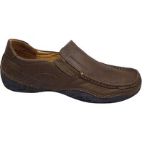 Cipők Férfi Oxford cipők & Bokacipők Discovery DSL1178805 Barna
