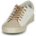 Cipők Női Rövid szárú edzőcipők Le Temps des Cerises SOHO Fehér / Bézs / Arany