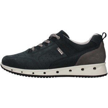 Cipők Férfi Rövid szárú edzőcipők IgI&CO 1629500 Kék