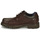 Cipők Férfi Oxford cipők Fluchos 1320-YANKEE-BRANDY Barna
