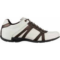 Cipők Férfi Rövid szárú edzőcipők Camel Active 151.14.03 Fehér