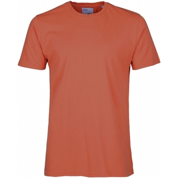 Ruhák Rövid ujjú pólók Colorful Standard T-shirt  Classic Organic dark amber Piros