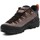 Cipők Férfi Túracipők Salewa Alp Trainer 2 Gore-Tex® Men's Shoe 61400-7953 Sokszínű