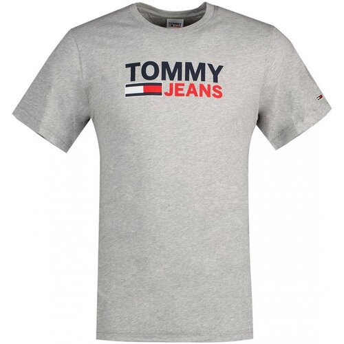 Ruhák Férfi Rövid ujjú pólók Tommy Jeans DM0DM15379 Szürke