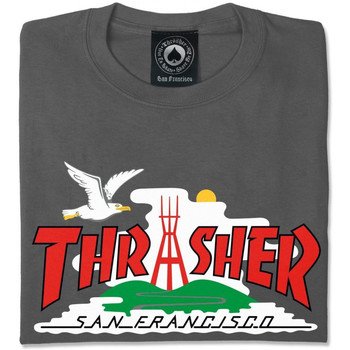 Thrasher T-shirt the city Szürke