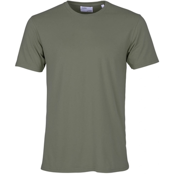 Ruhák Rövid ujjú pólók Colorful Standard T-shirt  Classic Organic dusty olive Zöld