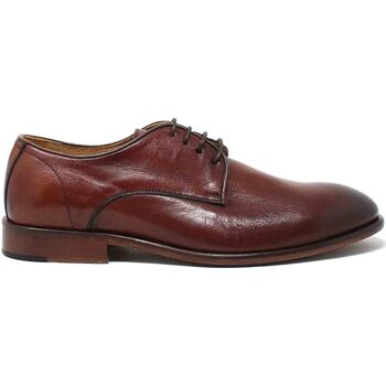 Cipők Férfi Oxford cipők Exton 5301 Barna