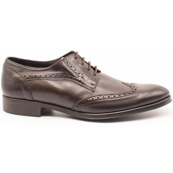 Cipők Férfi Oxford cipők & Bokacipők Donatelli  Barna