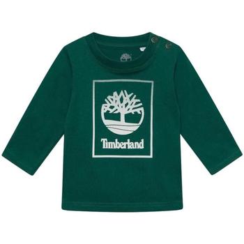 Ruhák Fiú Rövid ujjú pólók Timberland  Zöld