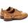 Cipők Női Oxford cipők & Bokacipők Pikolinos Royal Barna