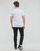 Ruhák Férfi Rövid ujjú pólók Calvin Klein Jeans MICRO MONOLOGO TEE Fehér