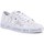 Cipők Férfi Rövid szárú edzőcipők DC Shoes SW Manual Fehér